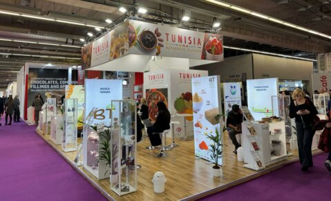 SIPPO Tunisia_Fostering Collaboration